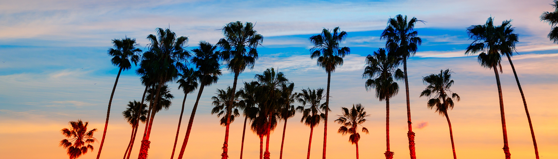 キービジュアル