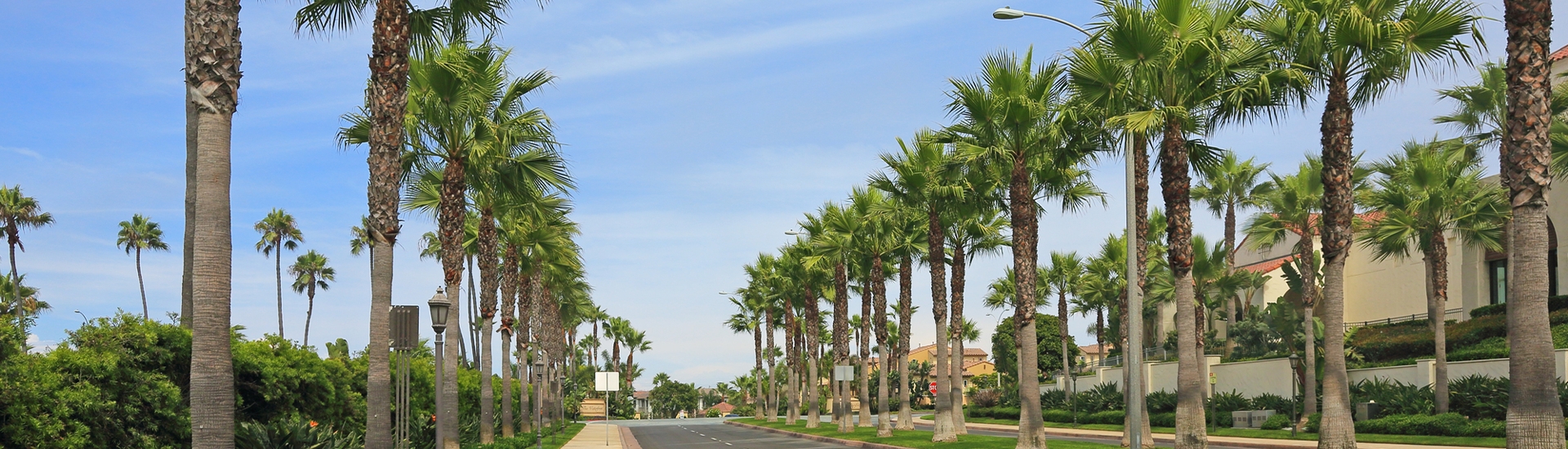 キービジュアル